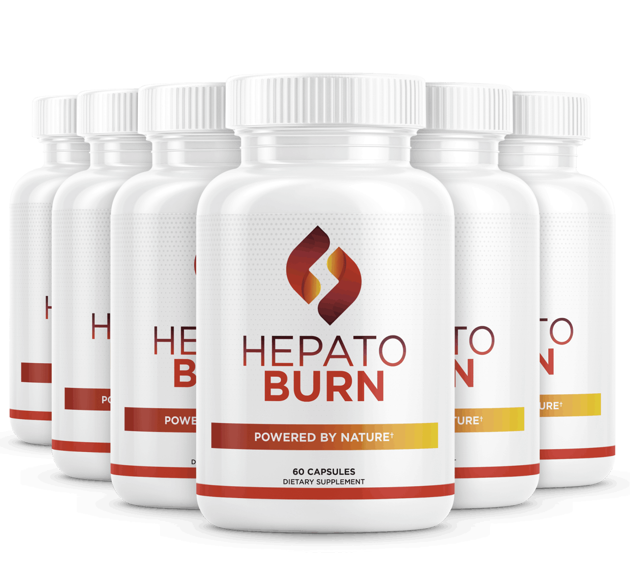HepatoBurn 6 Bottles